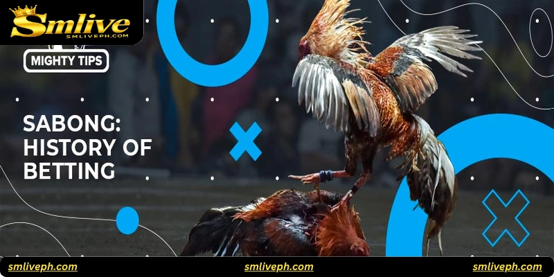 Key Factors to Consider When Betting on Sabong
